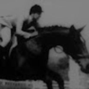 Meet your Posher, Brecon indie reviews